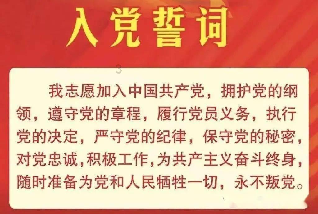 呆萌动物园